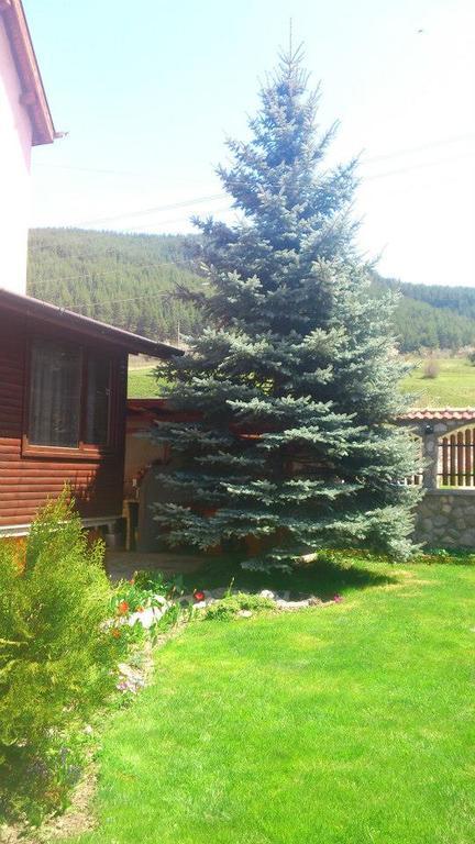 Guest House Diva Reka Бели-Искыр Экстерьер фото